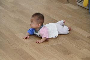img_20241025-132500.jpg