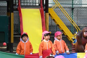 img_20241101-133904.jpg