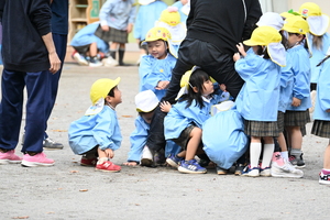 img_20241105-133934.jpg