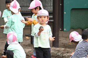 img_20241105-134736.jpg