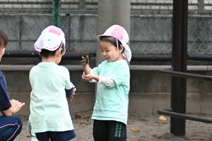 img_20241105-134758.jpg