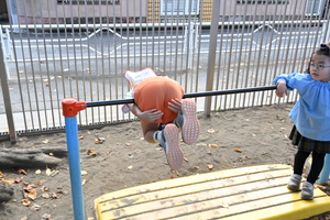 img_20241113-133035.jpg