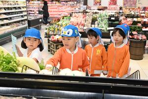 img_20241113-133223.jpg