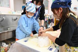img_20241113-133358.jpg