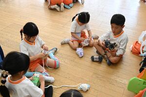 img_20241113-133743.jpg