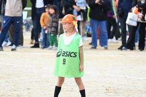 img_20241119-102435.jpg