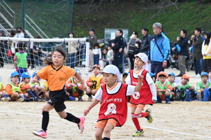 img_20241119-102449.jpg