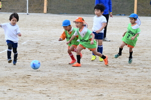 img_20241119-102510.jpg