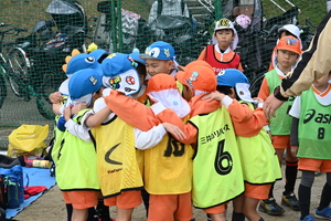 img_20241119-102518.jpg