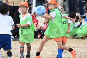 img_20241119-102550.jpg