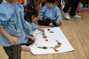 img_20241119-145631.jpg