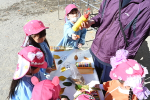 img_20241119-145735.jpg