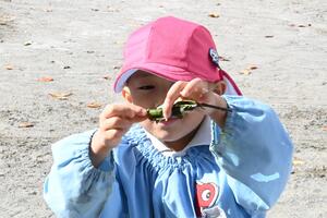 img_20241119-145806.jpg