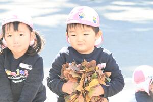 img_20241119-150006.jpg
