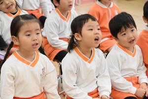 img_20241120-161446.jpg