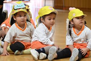 img_20241120-161655.jpg