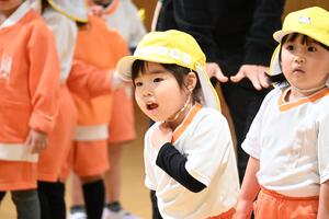 img_20241120-161930.jpg