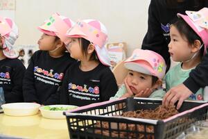 img_20241126-154519.jpg