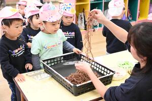 img_20241126-154834.jpg