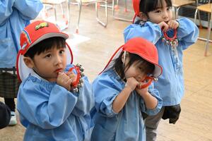 img_20241129-133230.jpg