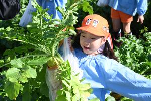 img_20241203-134546.jpg