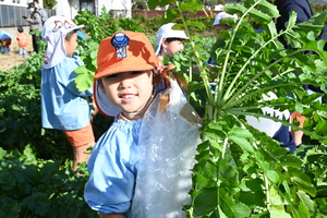 img_20241203-134555.jpg