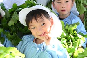 img_20241203-134739.jpg