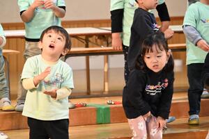img_20241204-153019.jpg