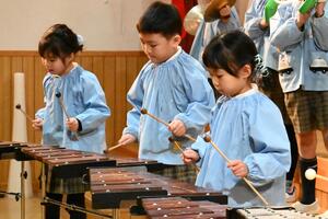 img_20241213-145757.jpg