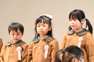 img_20241216-172301.jpg