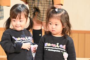 img_20241216-172711.jpg