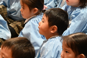 img_20250110-144733.jpg