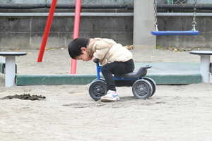 img_20250116-154645.jpg