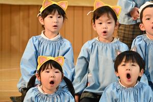 img_20250206-133627.jpg