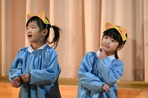 img_20250207-150554.jpg