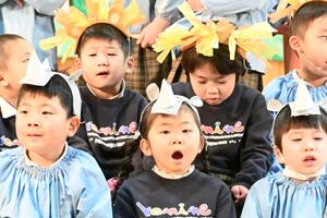 img_20250210-155646.jpg