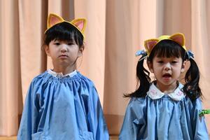 img_20250210-155837.jpg
