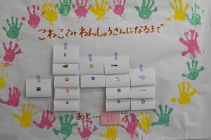img_20250228-144343.jpg
