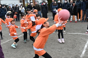img_20250304-133026.jpg
