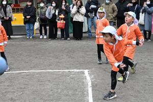 img_20250304-133132.jpg