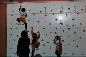 img_20250307-152730.jpg