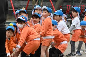 img_20250311-133834.jpg