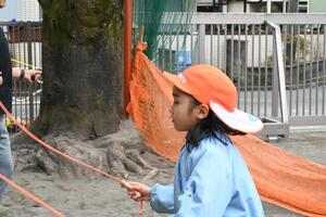 img_20250312-150941.jpg