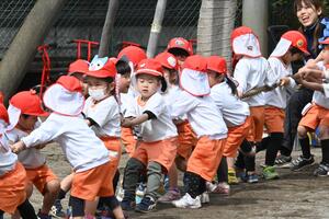 img_20250313-144125.jpg
