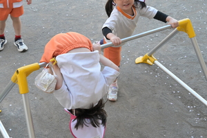 img_20250409-133627.jpg