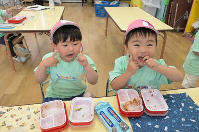 img_20250421-135337.jpg