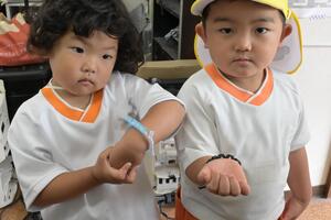 img_20250512-140308.jpg
