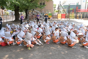img_20250513-145138.jpg