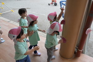 img_20250514-180242.jpg