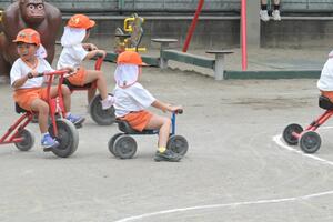 img_20250514-180439.jpg